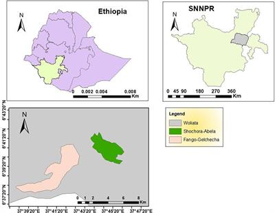 Plasmodium falciparum remains the dominant parasite affecting children despite decades of implementing vector control in two villages of Wolaita Zone, Southwest Ethiopia